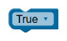 Boolean value item